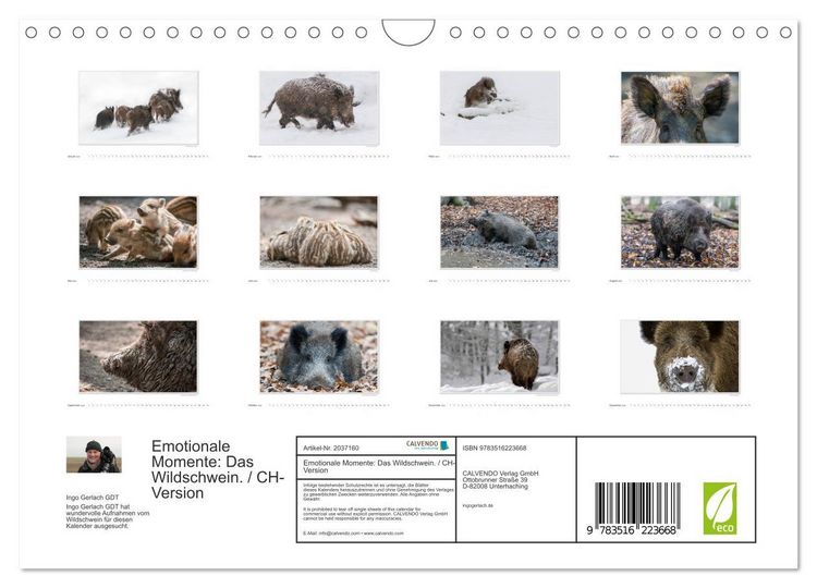 Produktbild: Emotionale Momente: Das Wildschwein. / CH-Version (Wandkalender 2026 DIN A4 quer), CALVENDO Monatskalender