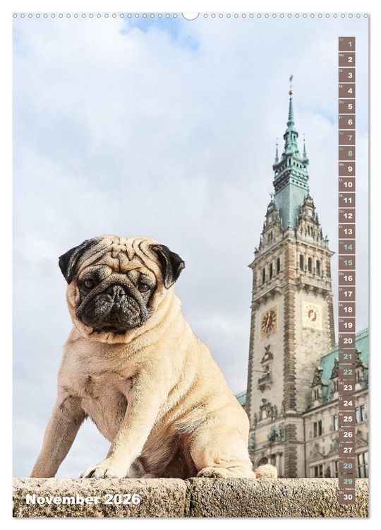 Produktbild: M&ouml;pse in Hamburg (hochwertiger Premium Wandkalender 2026 DIN A2 hoch), Kunstdruck in Hochglanz