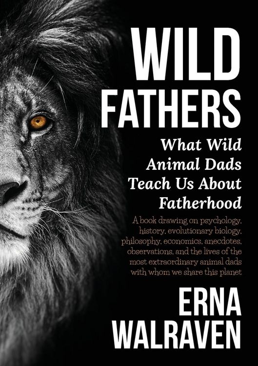 Produktbild: Wild Fathers