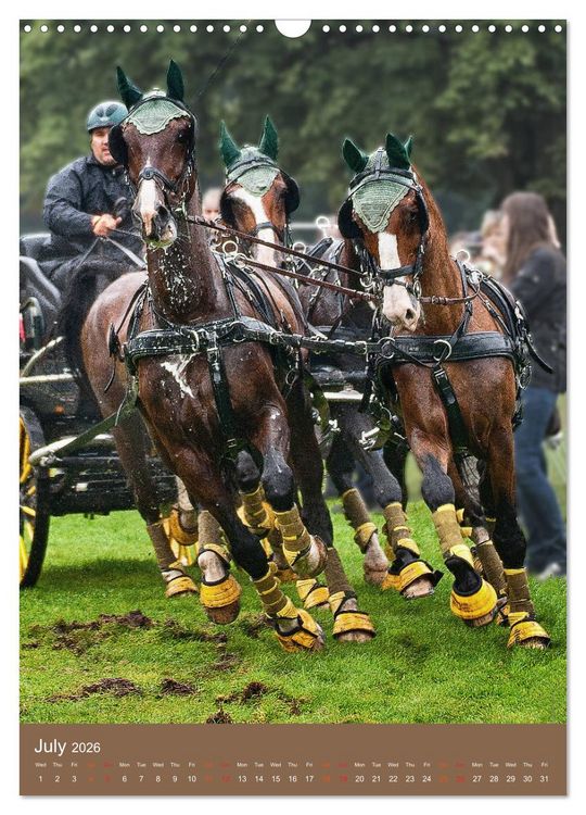 Produktbild: Carriage Driving - Horses in Action (Wall Calendar 2026 DIN A3 portrait), CALVENDO 12 Month Wall Calendar