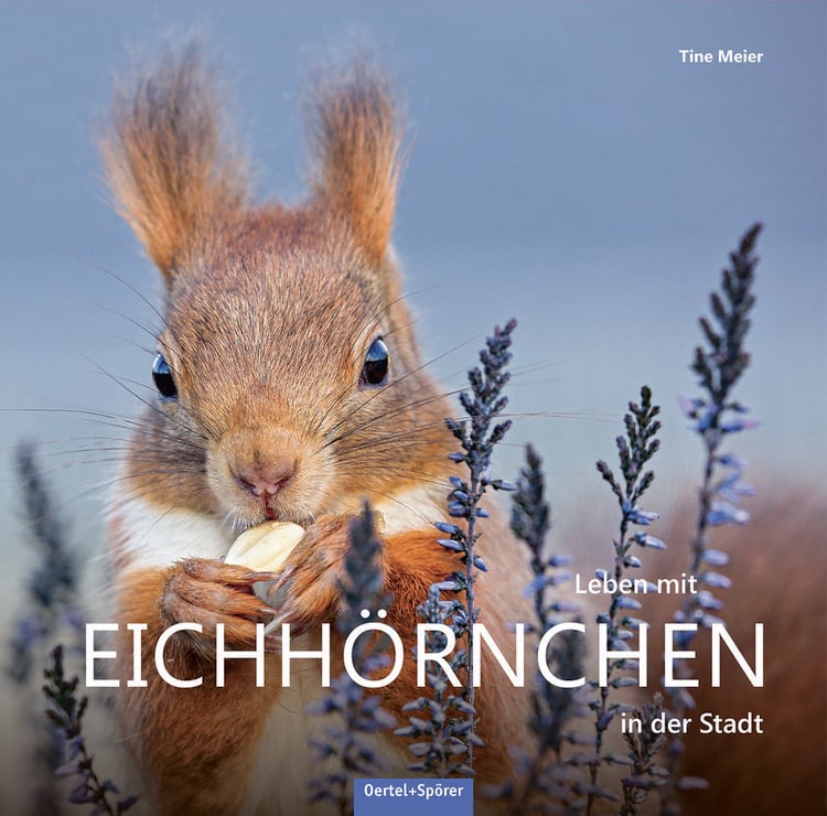 Produktbild: Leben mit Eichh&ouml;rnchen in der Stadt