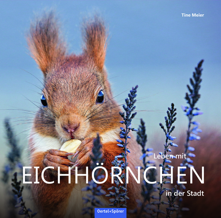 Produktbild: Leben mit Eichh&ouml;rnchen in der Stadt