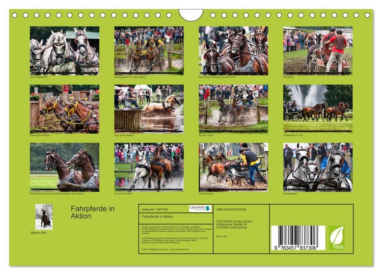 Produktbild: Fahrpferde in Aktion (Wandkalender 2026 DIN A4 quer), CALVENDO Monatskalender