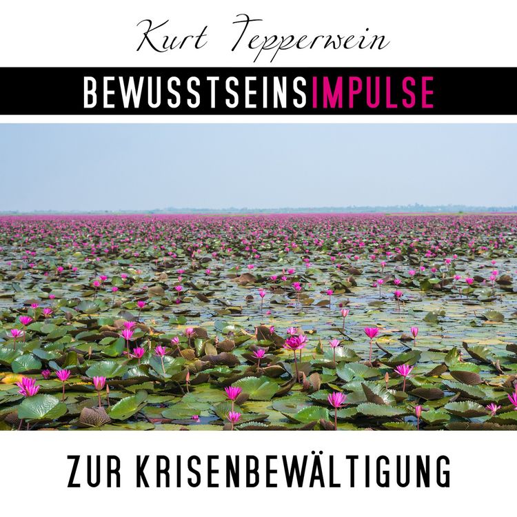 Produktbild: Bewusstseinsimpulse zur Krisenbew&auml;ltigung