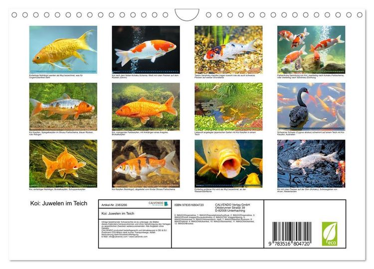 Produktbild: Koi: Juwelen im Teich (Wandkalender 2027 DIN A4 quer), CALVENDO Monatskalender
