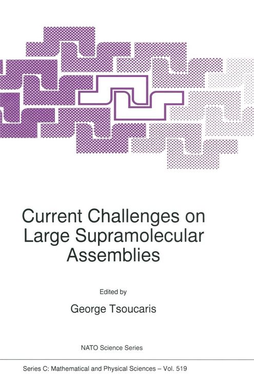 Produktbild: Current Challenges on Large Supramolecular Assemblies