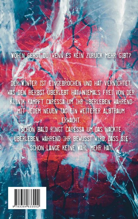 Produktbild: Winter - Projekt III