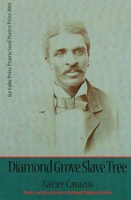 Produktbild: Diamond Grove Slave Tree