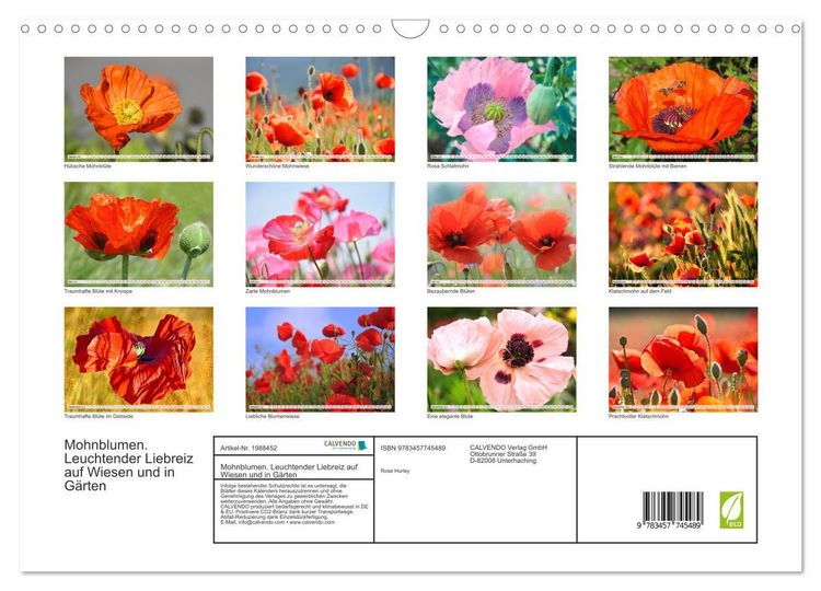 Produktbild: Mohnblumen. Leuchtender Liebreiz auf Wiesen und in G&auml;rten (Wandkalender 2026 DIN A3 quer), CALVENDO Monatskalender