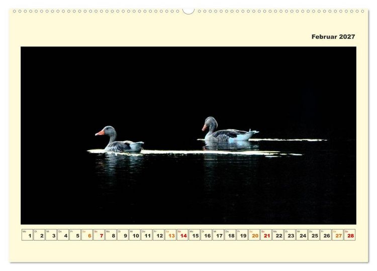 Produktbild: Tierwelt der W&uuml;mmeniederung (hochwertiger Premium Wandkalender 2027 DIN A2 quer), Kunstdruck in Hochglanz