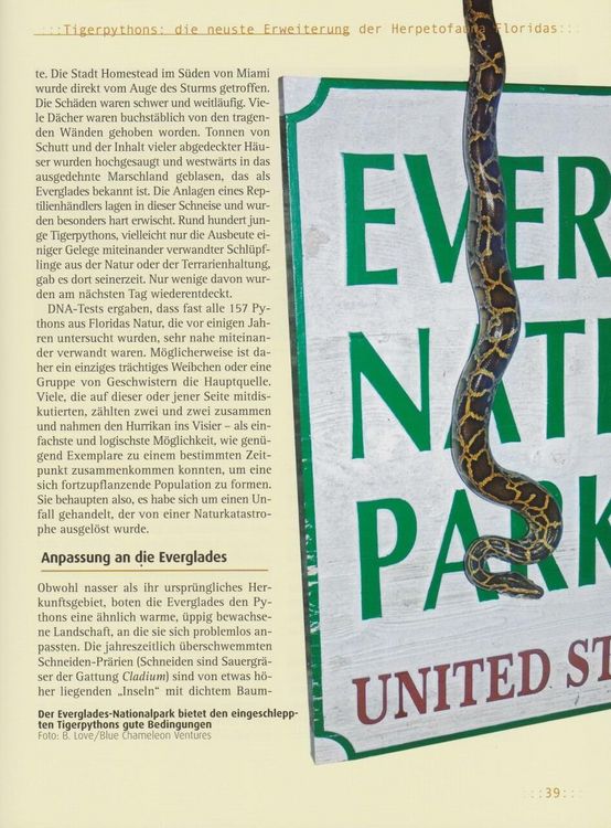 Produktbild: Tigerpythons