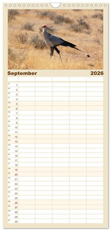 Produktbild: Familienplaner 2026 - Facetten Namibias mit 5 Spalten (Wandkalender, 21 x 45 cm) CALVENDO