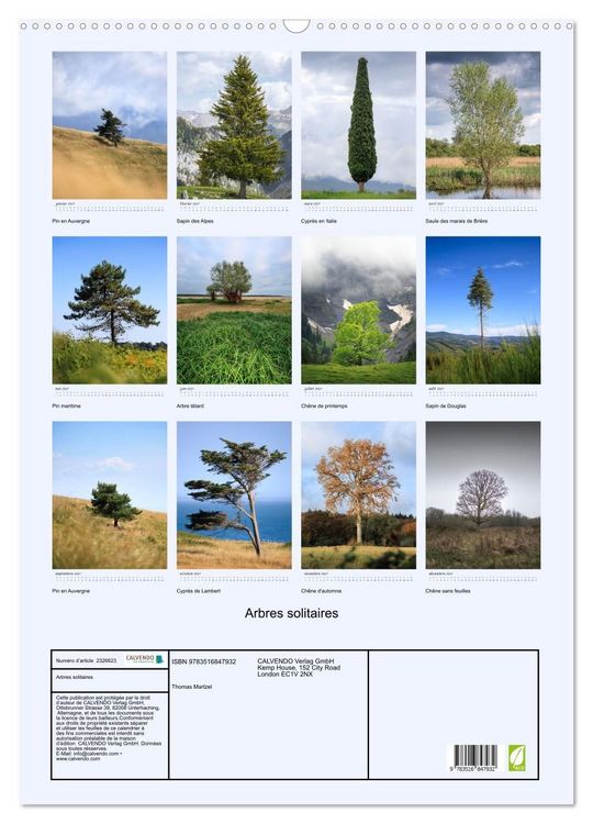 Produktbild: Arbres solitaires (Calendrier mural 2027 DIN A2 horizontal), CALVENDO calendrier mensuel