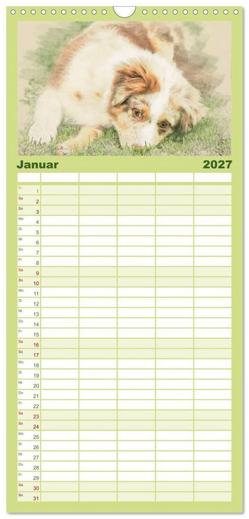 Produktbild: Familienplaner 2027 - Hundewelpen 2027 mit 5 Spalten (Wandkalender, 21 x 45 cm) CALVENDO