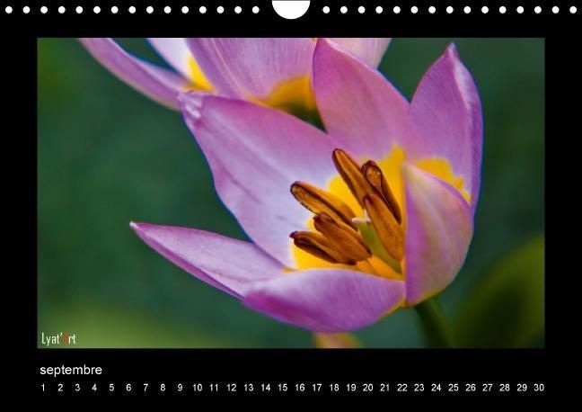 Produktbild: Liatard, A: Fleurs et couleurs (Calendrier mural Calendrier