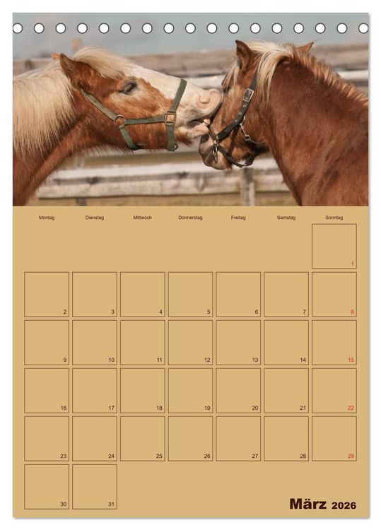 Produktbild: Pferde Gute Freunde (Tischkalender 2026 DIN A5 hoch), CALVENDO Monatskalender