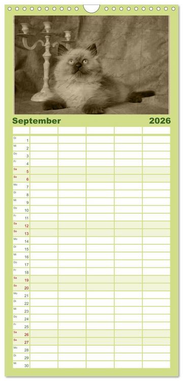 Produktbild: Familienplaner 2026 - Oma's Katzenkalender 2026 mit 5 Spalten (Wandkalender, 21 x 45 cm) CALVENDO