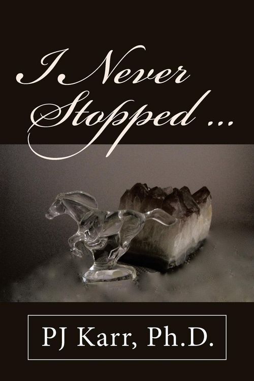 Produktbild: I Never Stopped . . .
