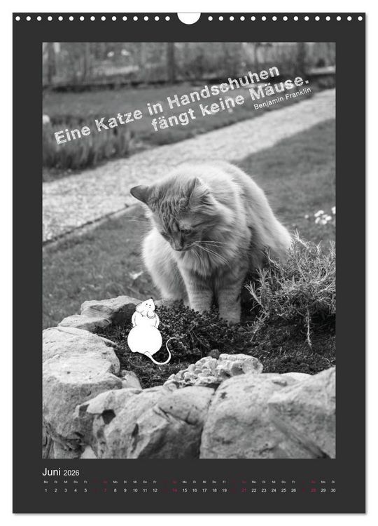 Produktbild: Katz & Maus (Wandkalender 2026 DIN A3 hoch), CALVENDO Monatskalender