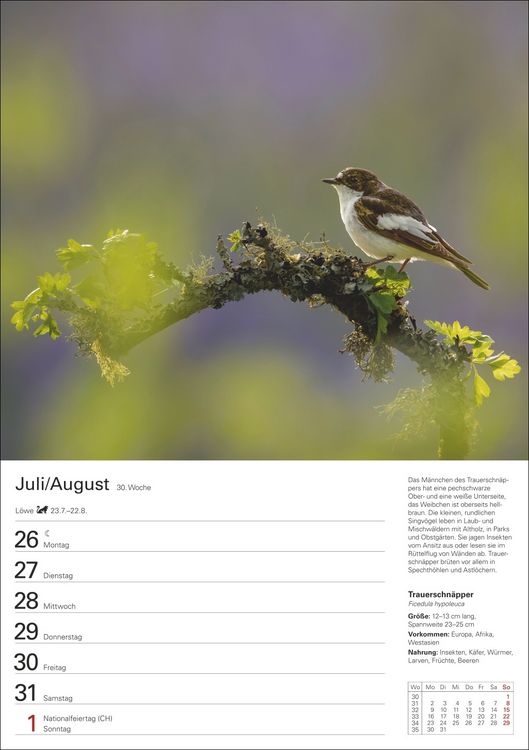 Produktbild: Heimische V&ouml;gel Wochenplaner 2027 - 53 faszinierende Fotografien