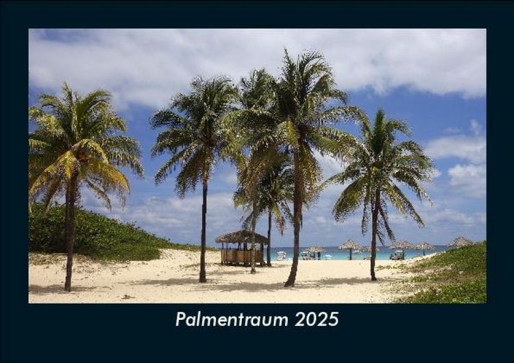 Produktbild: Palmentraum 2025 Fotokalender DIN A5