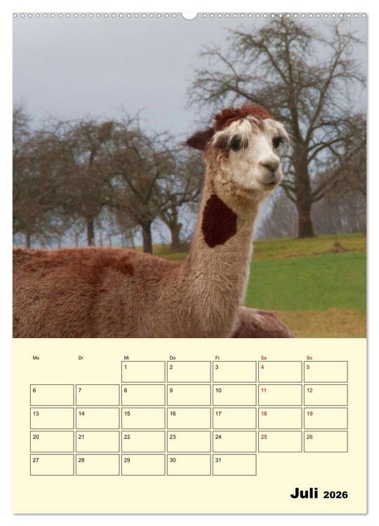 Produktbild: Alpakas erleben (hochwertiger Premium Wandkalender 2026 DIN A2 hoch), Kunstdruck in Hochglanz