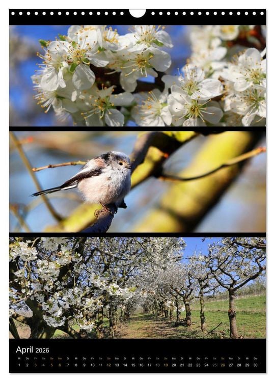 Produktbild: Bezaubernde Farben der Natur (Wandkalender 2026 DIN A3 hoch), CALVENDO Monatskalender