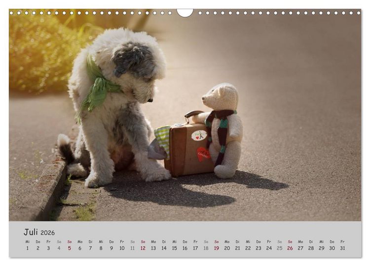 Produktbild: Ein Bobtail namens Miles (Wandkalender 2026 DIN A3 quer), CALVENDO Monatskalender