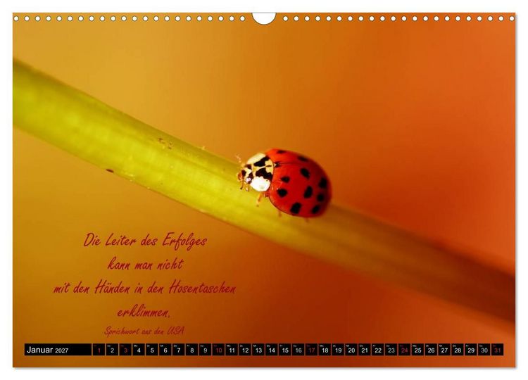 Produktbild: Das kleine, gro&szlig;e Gl&uuml;ck (Wandkalender 2027 DIN A3 quer), CALVENDO Monatskalender