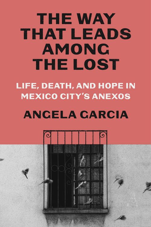 Produktbild: The Way That Leads Among the Lost