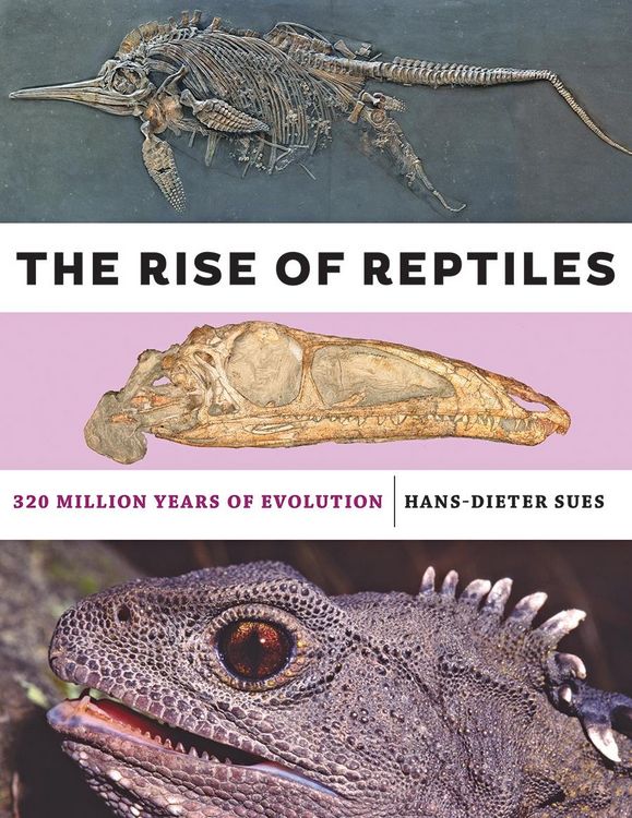 Produktbild: Rise of Reptiles