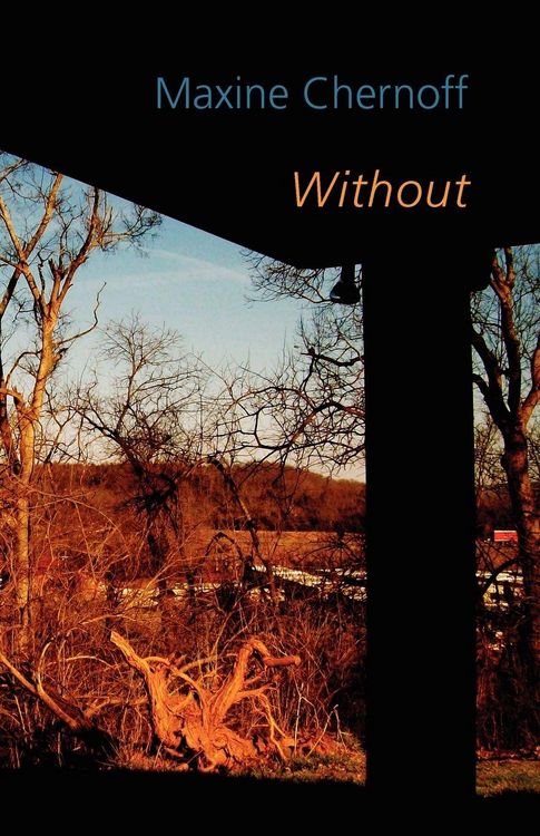 Produktbild: Without