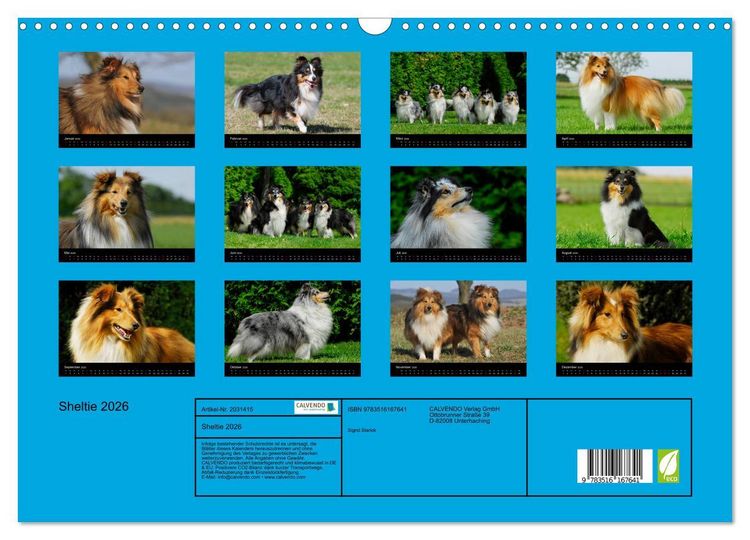 Produktbild: Sheltie 2026 (Wandkalender 2026 DIN A3 quer), CALVENDO Monatskalender