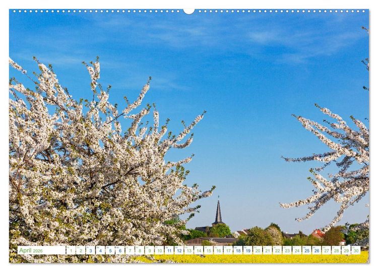 Produktbild: K&ouml;ln Widdersdorf - Bl&uuml;tentr&auml;ume und l&auml;ndliche Idylle (hochwertiger Premium Wandkalender 2026 DIN A2 quer), Kunstdruck in Hochglanz