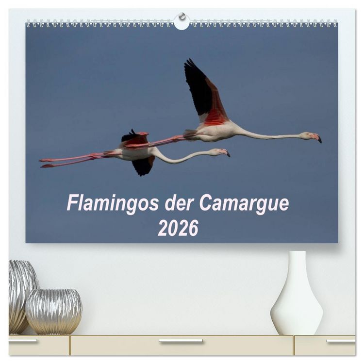 Produktbild: Flamingos der Camargue 2026 (hochwertiger Premium Wandkalender 2026 DIN A2 quer), Kunstdruck in Hochglanz