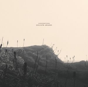 Produktbild: Goliath Awakes