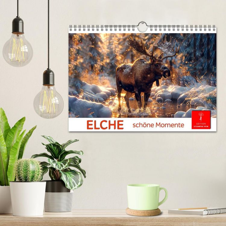 Produktbild: Elche - sch&ouml;ne Momente (Wandkalender 2026 DIN A4 quer), CALVENDO Monatskalender