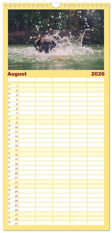 Produktbild: Familienplaner 2026 - Deutscher Boxer mit 5 Spalten (Wandkalender, 21 x 45 cm) CALVENDO
