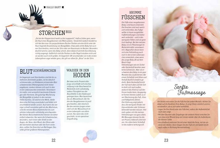 Produktbild: Gesund von Anfang an