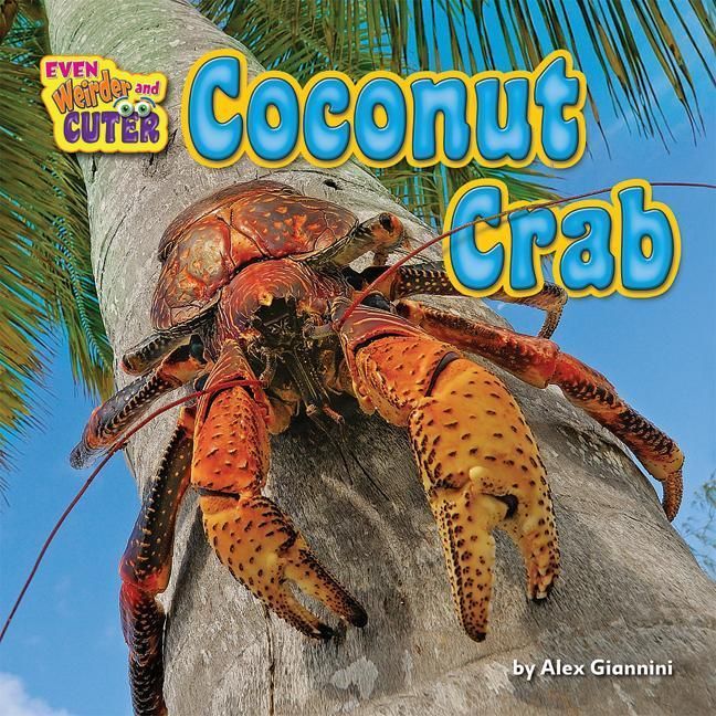 Produktbild: Coconut Crab