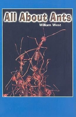 Produktbild: All Abt Ants
