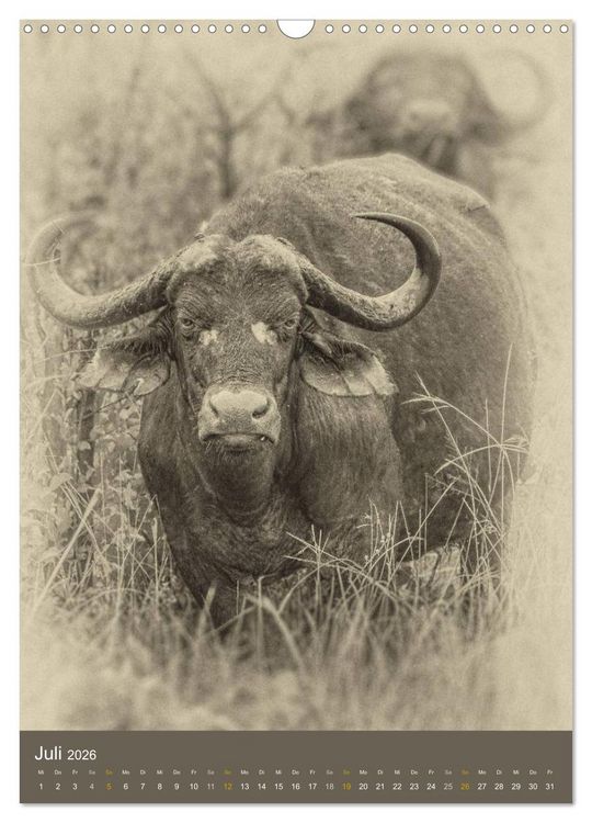 Produktbild: Afrikas Tierwelt - Sepia-Art (Wandkalender 2026 DIN A3 hoch), CALVENDO Monatskalender