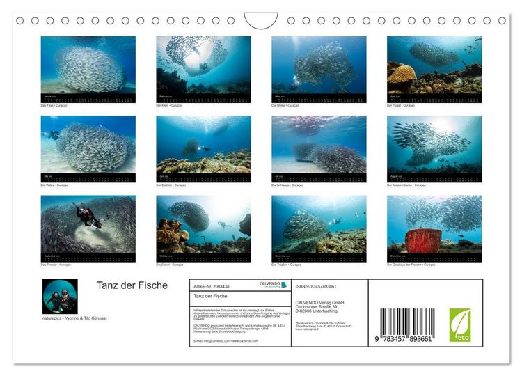 Produktbild: Tanz der Fische (Wandkalender 2026 DIN A4 quer), CALVENDO Monatskalender