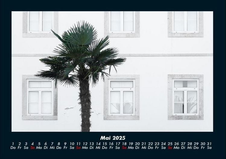 Produktbild: Palmen 2025 Fotokalender DIN A4