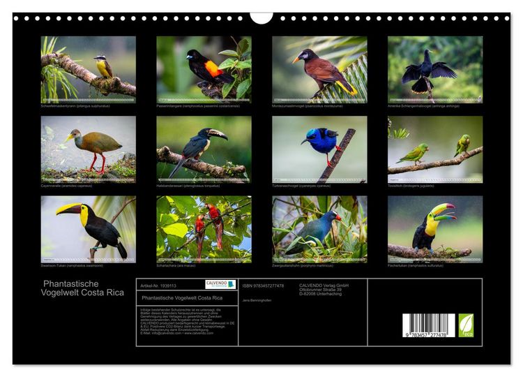 Produktbild: Phantastische Vogelwelt Costa Rica (Wandkalender 2026 DIN A3 quer), CALVENDO Monatskalender