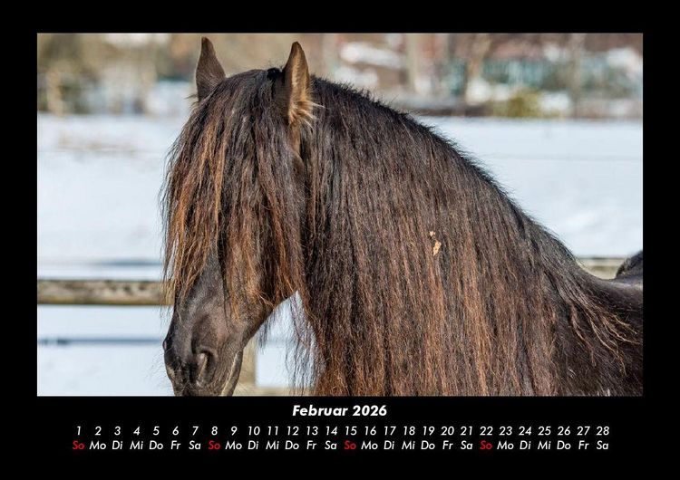 Produktbild: Die Welt der Pferde 2026 Fotokalender DIN A3