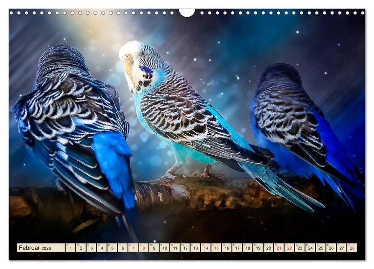 Produktbild: Wundersch&ouml;ner Wellensittich (Wandkalender 2026 DIN A3 quer), CALVENDO Monatskalender