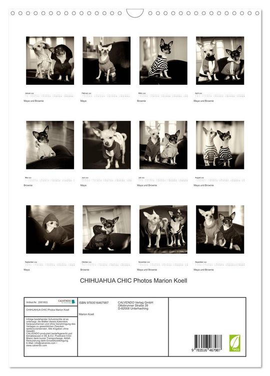 Produktbild: CHIHUAHUA CHIC Photos Marion Koell (Wandkalender 2026 DIN A3 hoch), CALVENDO Monatskalender