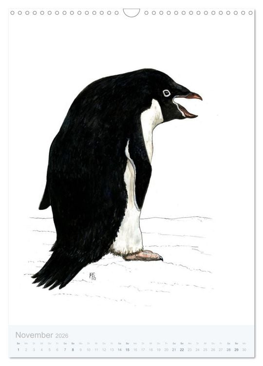 Produktbild: Pinguine - 13 Illustrationen (Wandkalender 2026 DIN A3 hoch), CALVENDO Monatskalender