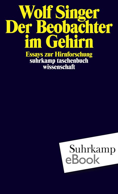 Produktbild: Der Beobachter im Gehirn